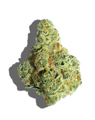 GUSHERZ (MID SHELF IMPORT)
