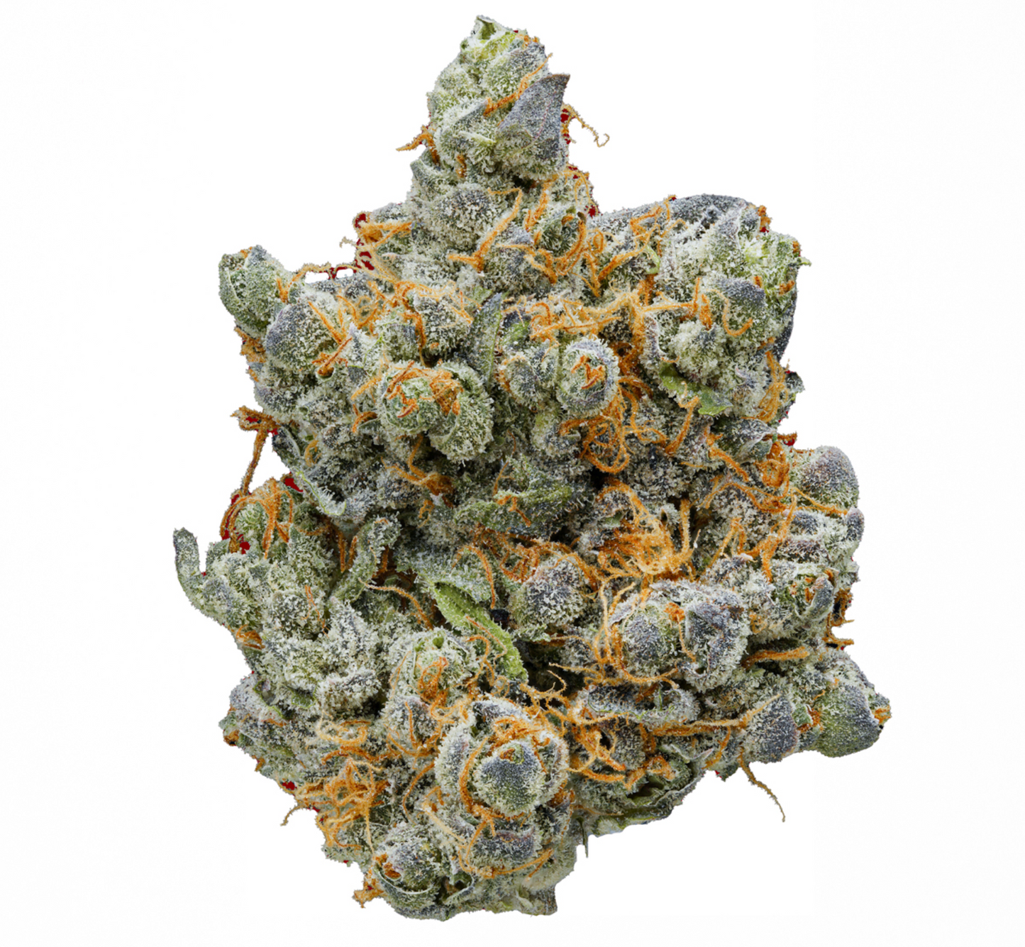 TRUFFLE ( TOP SHELF IMPORT )