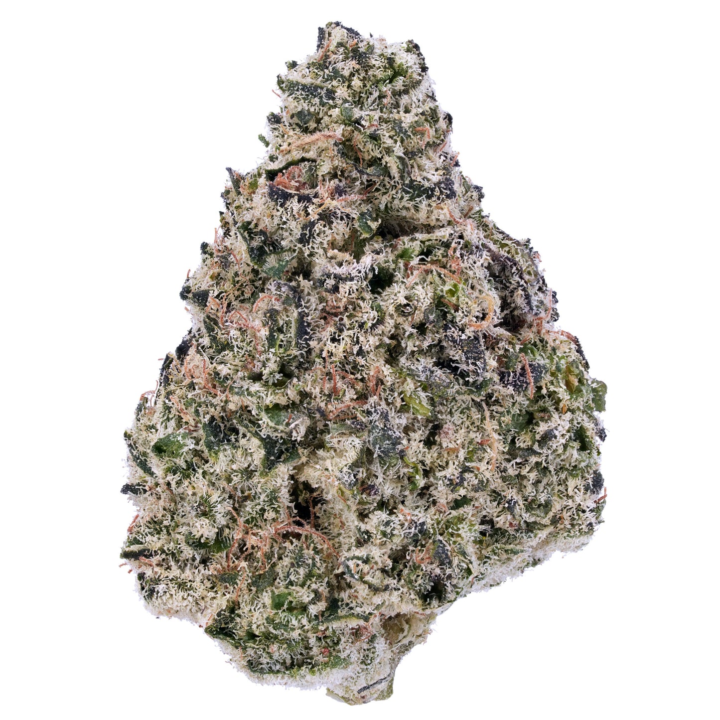 BLUE ZUSHI (MID SHELF IMPORT)