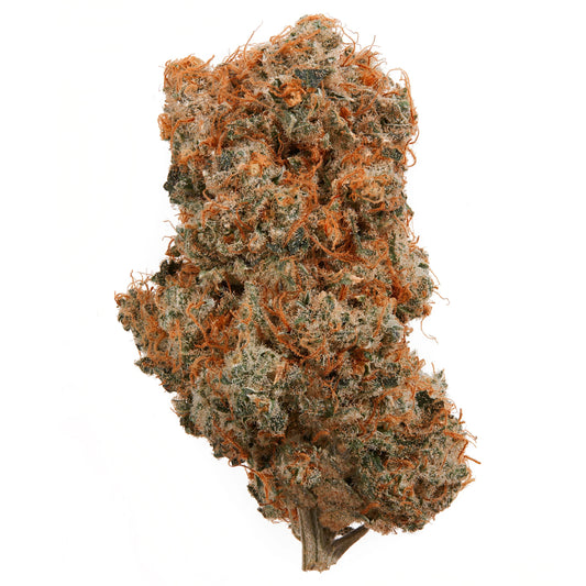 BISCOTTI FLOWER (DOO GROWN)